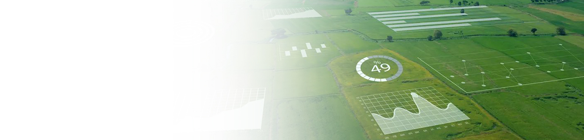 新型鄉村振興解決方案